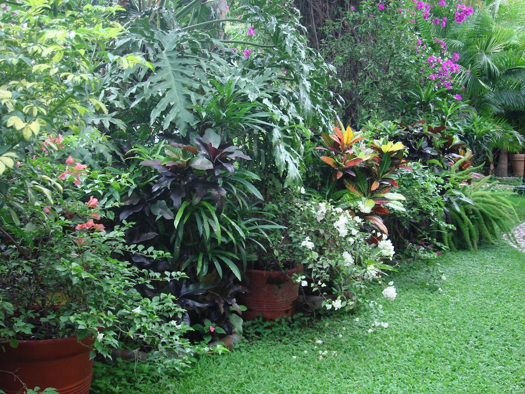 Quinta Del Gobernador Hotel Cuernavaca Exterior foto
